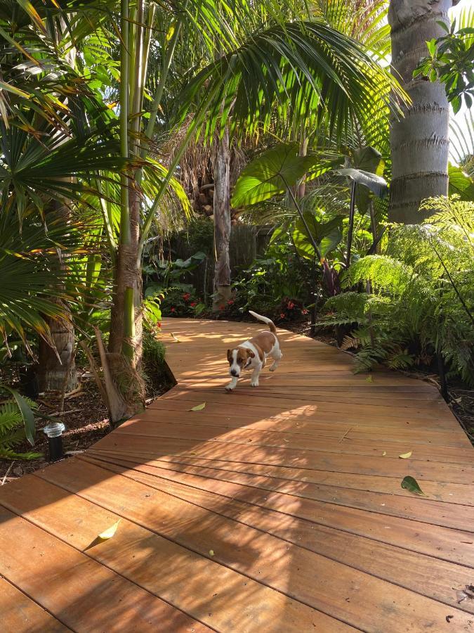 Palm Garden Papamoa Beach Paradise Bagian luar foto